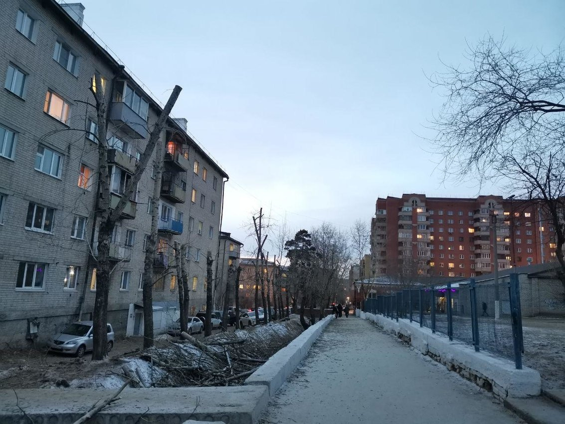 Такое столбовое кронирование происходит в Чите уже много лет подряд Такое столбовое кронирование происходит в Чите уже много лет подряд