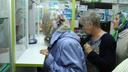 В России производители снизили стоимость 293 лекарств