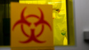 Нас ждет новая пандемия? Что известно о новом вирусе Ланъя, найденном в Китае