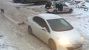 Самарская автомобилистка, которая переехала собаку, думала, что это мусор