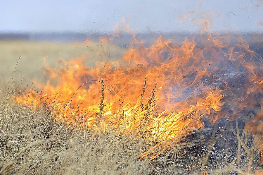 Природных пожаров в Забайкалье за год стало больше в два раза