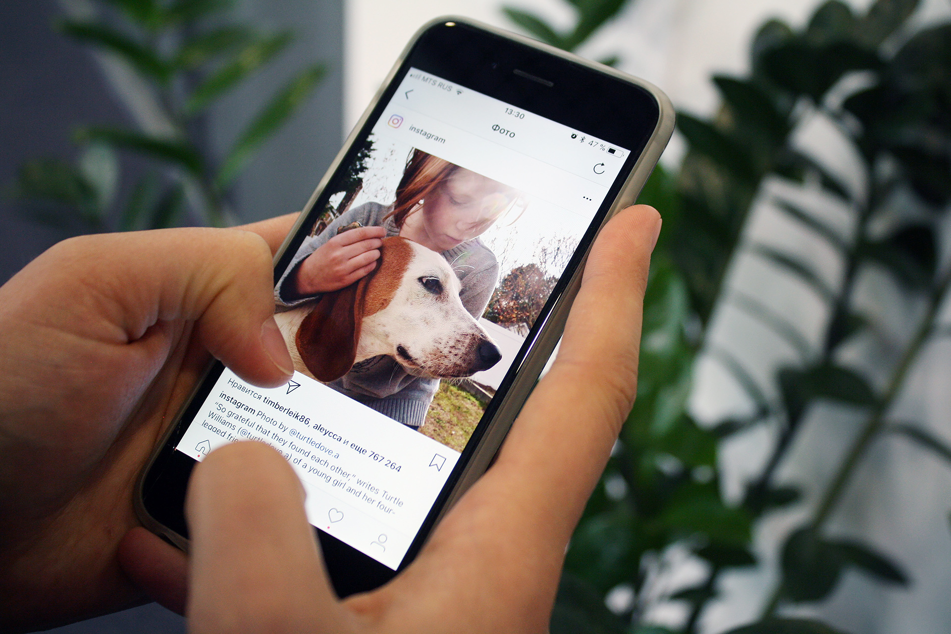 Листать Instagram перед сном — плохая затея Листать Instagram перед сном — плохая затея