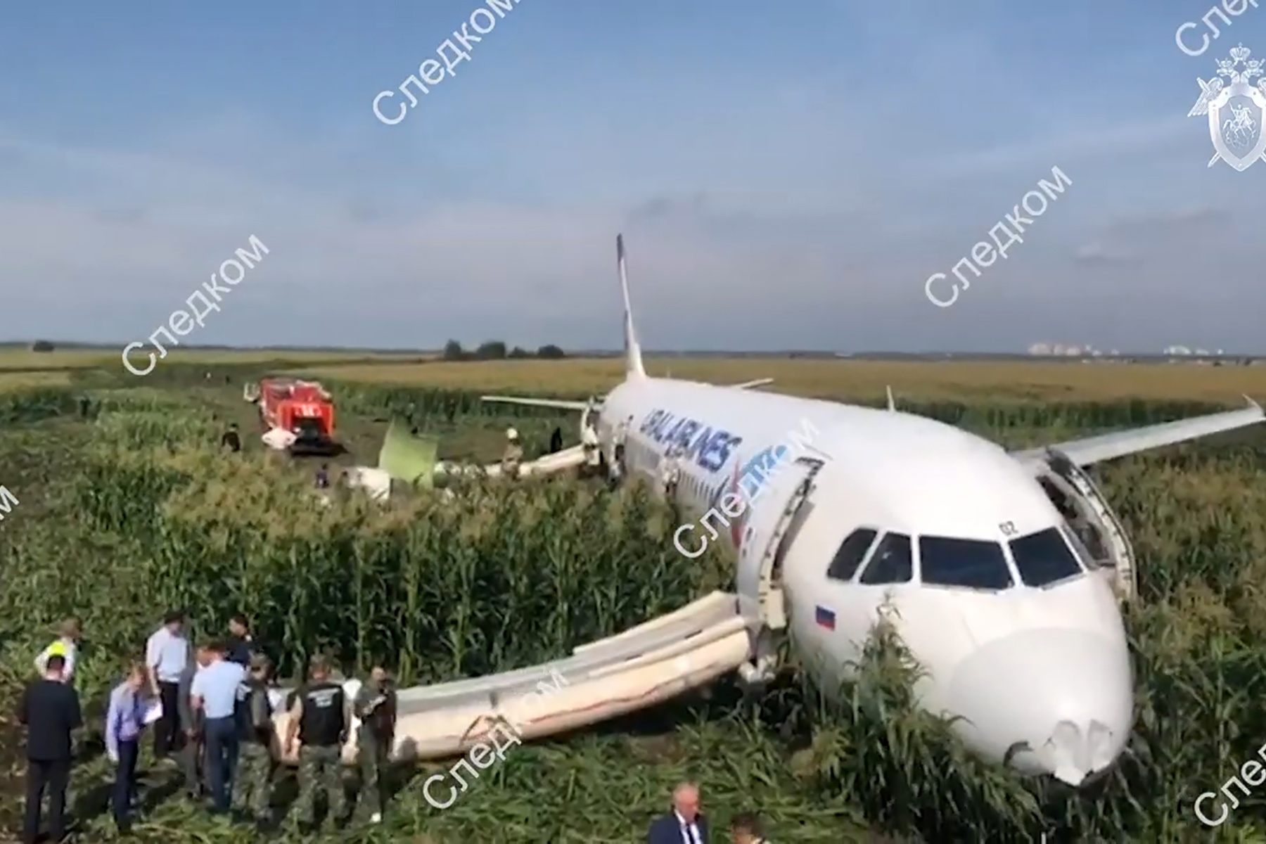 Дамир Юсупов посадил самолет на кукурузное поле