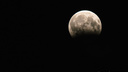 Взойдёт «кровавая» Луна: жители России смогут увидеть самое долгое затмение за 100 лет