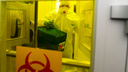 Китайские ученые нашли вид коронавируса, от которого все зараженные умирают — грозит ли он России