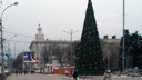 Новогодние елки появятся на улицах Ростова до 1 декабря