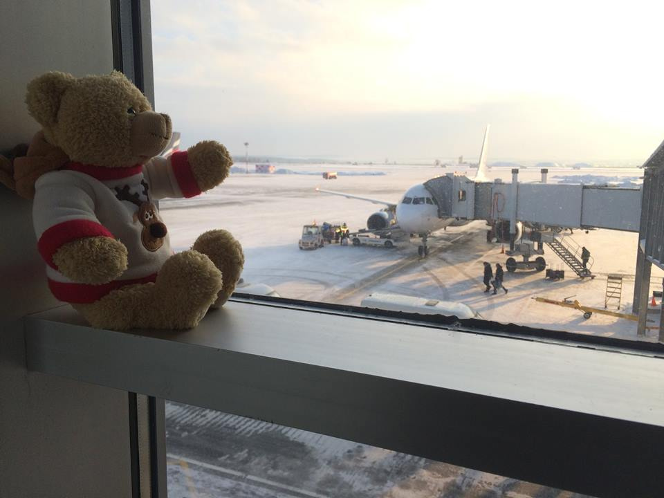 Мишка любуется самолётами.
