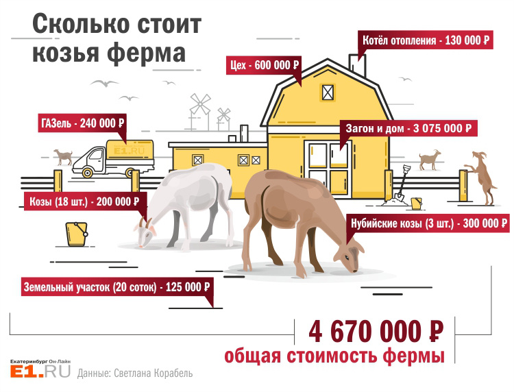 Вы решили заняться фермерской деятельностью приобрели землю около города составьте бизнес план