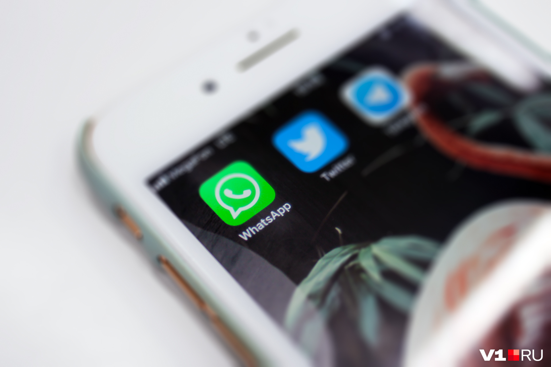 8 хитростей использования WhatsApp, о которых не все знают