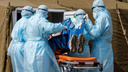 ВОЗ зафиксировала суточный рекорд заболевших коронавирусом в мире