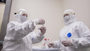 Российскую вакцину от коронавируса ввели первым добровольцам