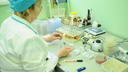 За сутки в России выявили 61 новый случай коронавируса