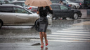 Дождь и холод: какой будет погода в Новосибирске на следующей неделе