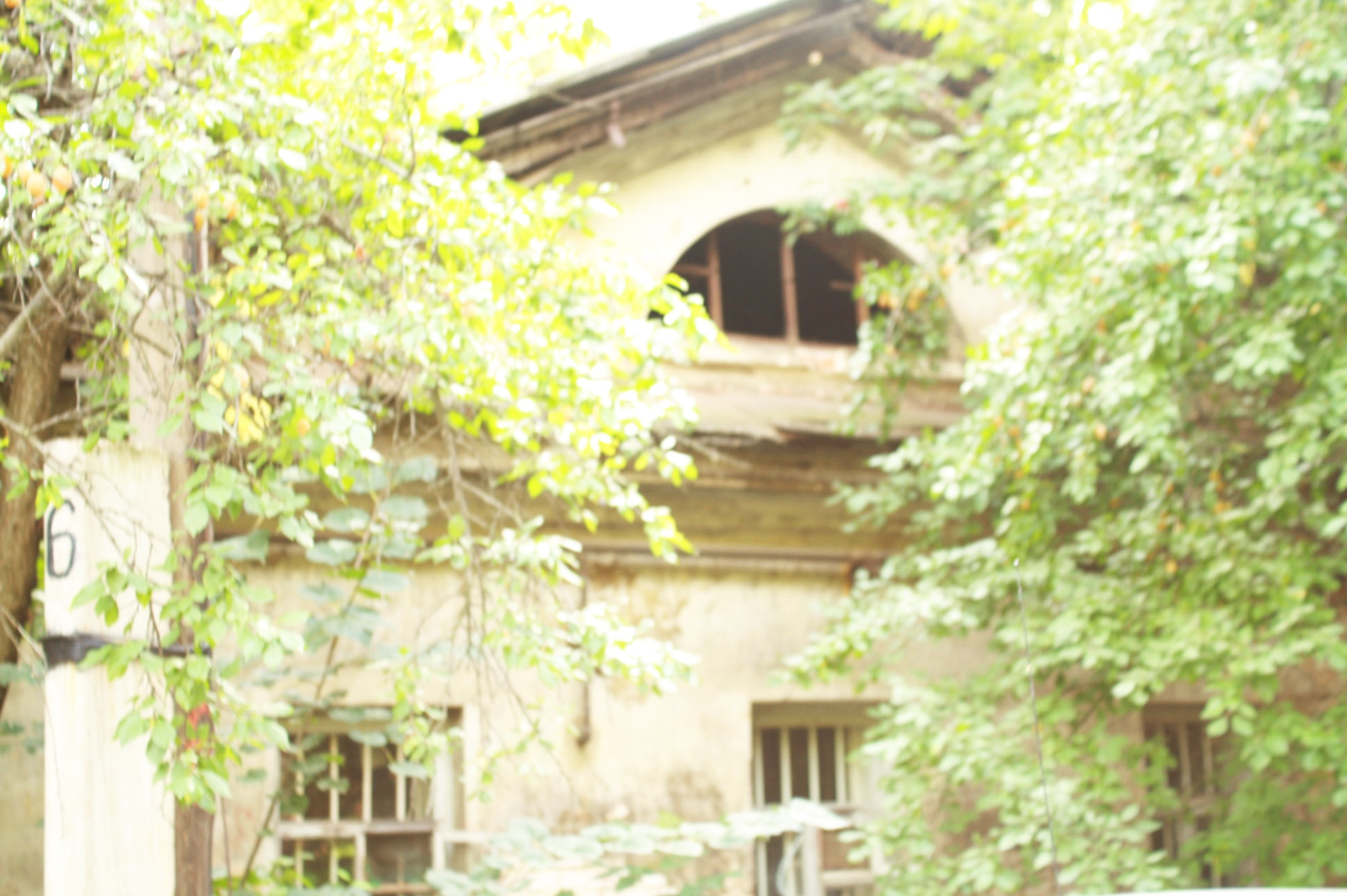 Пример классицизма в архитектуре. Фото: И. Мясковский<br>