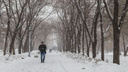 Синоптики рассказали, когда в Новосибирске снова потеплеет