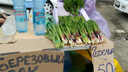 В Новосибирске начали торговать березовым соком и таежной зеленью