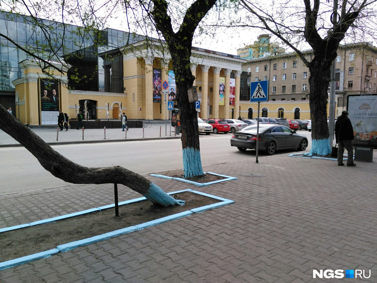 В этот же оттенок выкрасили бордюры и деревья на улице Ленина<br> В этот же оттенок выкрасили бордюры и деревья на улице Ленина<br>