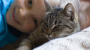Маленький новосибирец растрогал соцсети объявлением о пропаже котенка