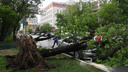Синоптики оценили вероятность московского урагана в Новосибирске