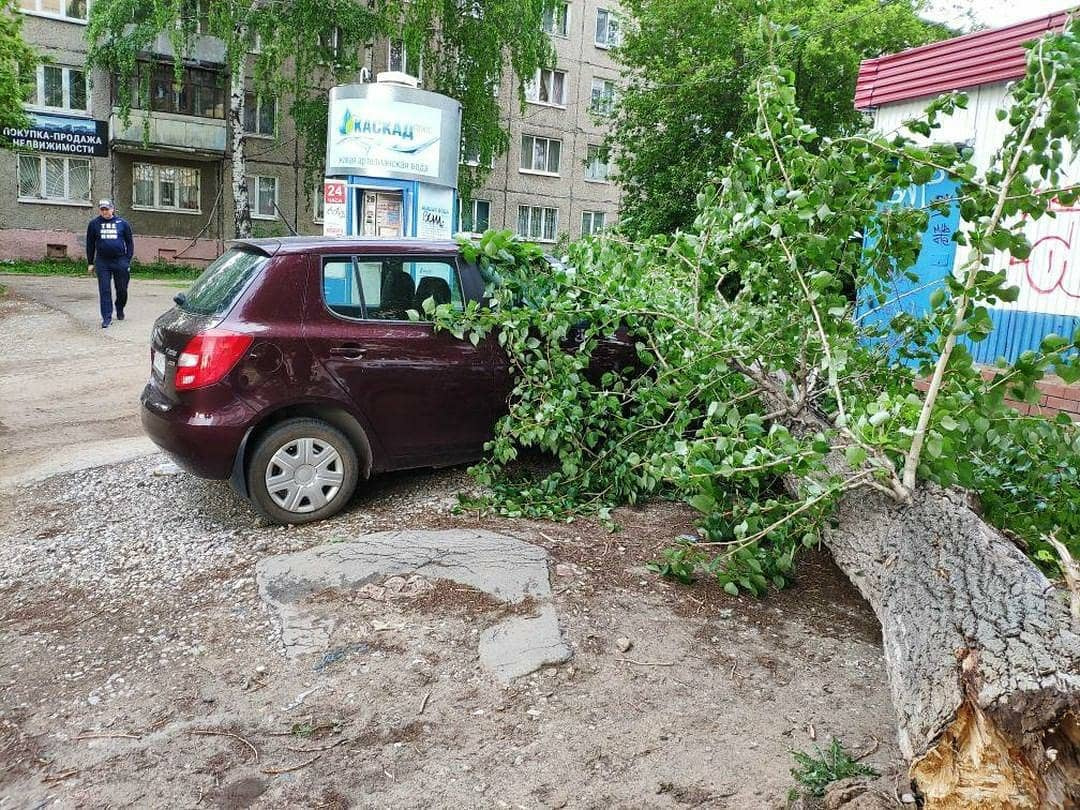 В Перми ветер повалил забор на автомобили 4 июня 2019 года - 4 июня 2019 -  59.ру