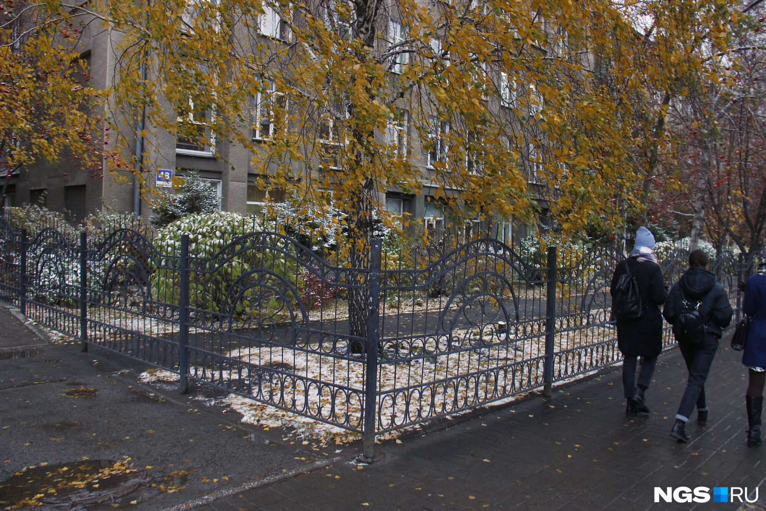 Ограда у аллеи перед зданием гимназии <nobr class="_">№ 1</nobr>