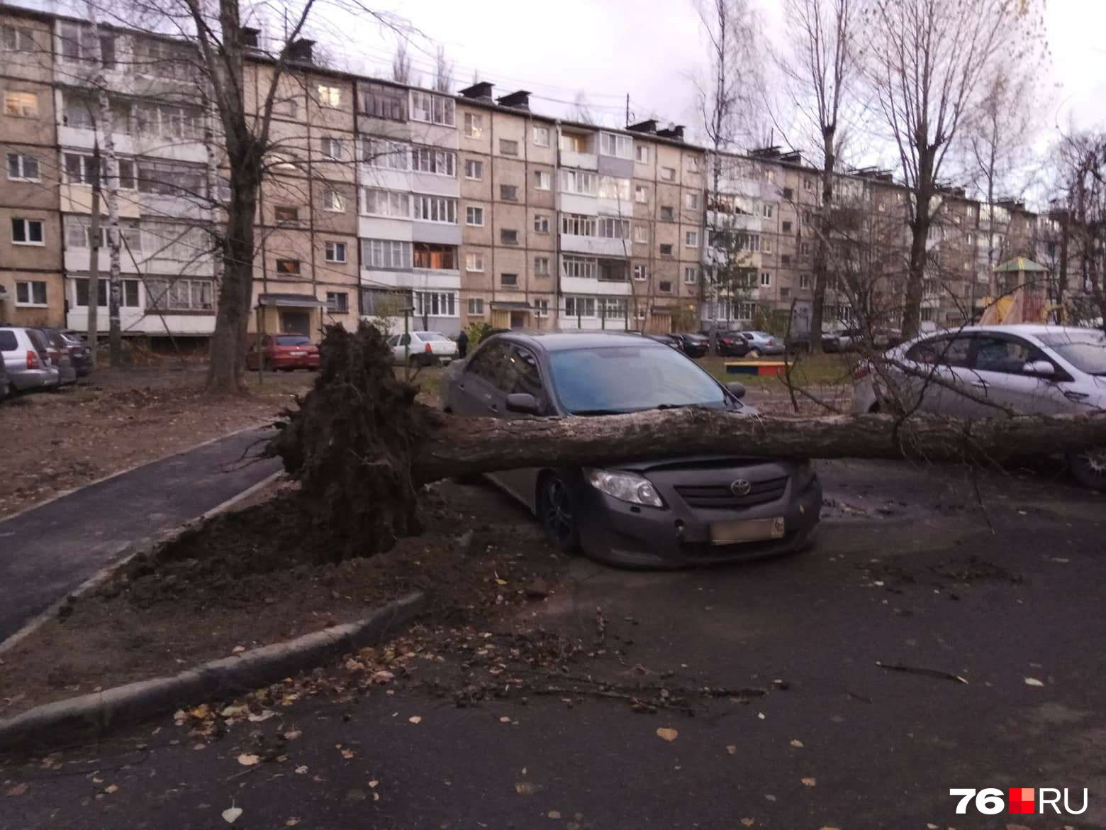 Ярославль буря. Ураган в Ярославле. Ярославль шторм. Ураган в Ярославле сейчас. Ураган в Ярославле сегодня.