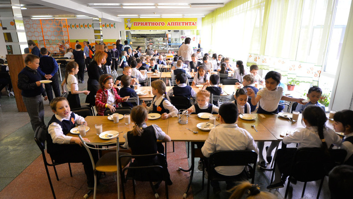 В Свердловской области разоблачили картель, который зарабатывал на продаже еды для школьников
