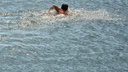 В Заельцовском парке утонул юноша — он едва не утащил под воду подругу