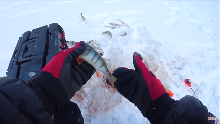 Рыбак снял потрясающее видео о красивой и опасной рыбалке на красноярском водохранилище