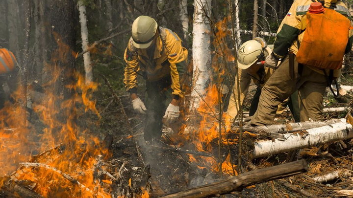Пожарный заблудился в горящем лесу Эвенкии: ищут со вчерашнего дня