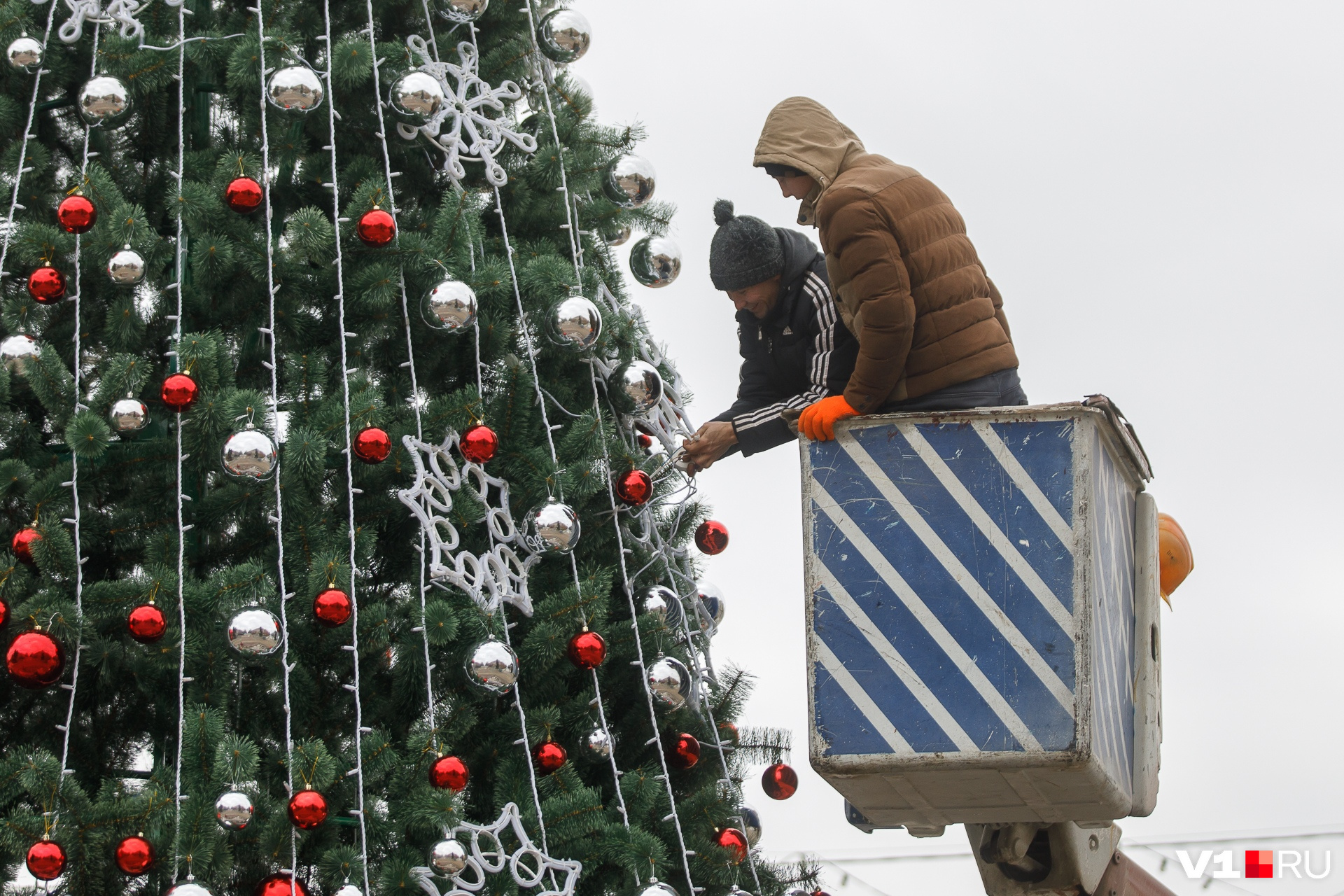 Дают ли новогодние