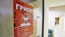 19 классов на карантине: в Челябинской области растёт заболеваемость гриппом среди школьников