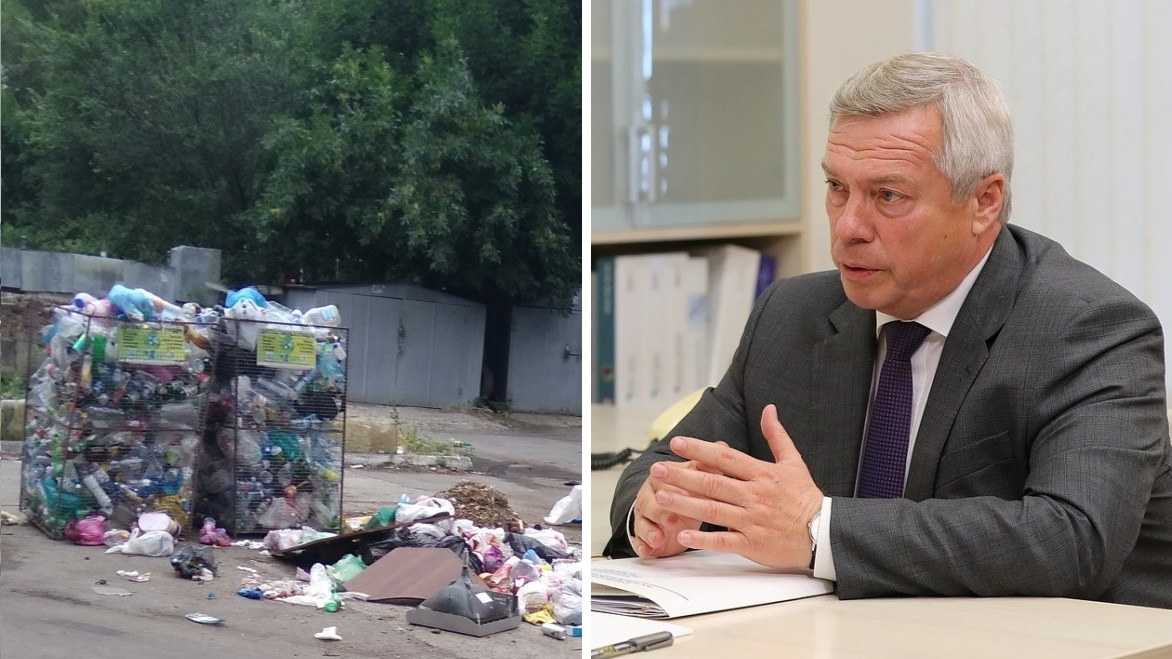 Губернатор призвал дончан «перестать производить мусор»