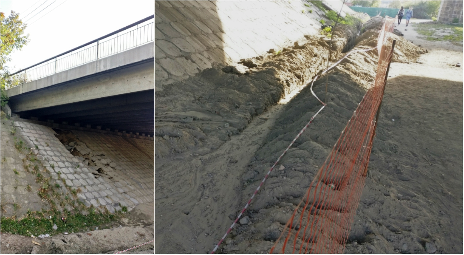 Вырытый в ходе изъятия грунта котлован заполнили водой и запустили туда карпов для воспроизводства