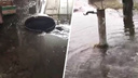Вода бьет из земли фонтаном: в Ростове затопило улицу Коммунаров