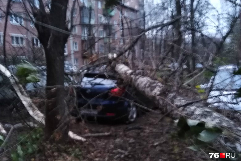 Последствия урагана в Ярославле разгребают до сих пор