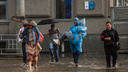 Дача отменяется: в Новосибирск пришла прохладная погода с дождями