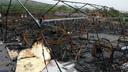 После пожара в лагере в Хабаровском крае скончались еще трое детей