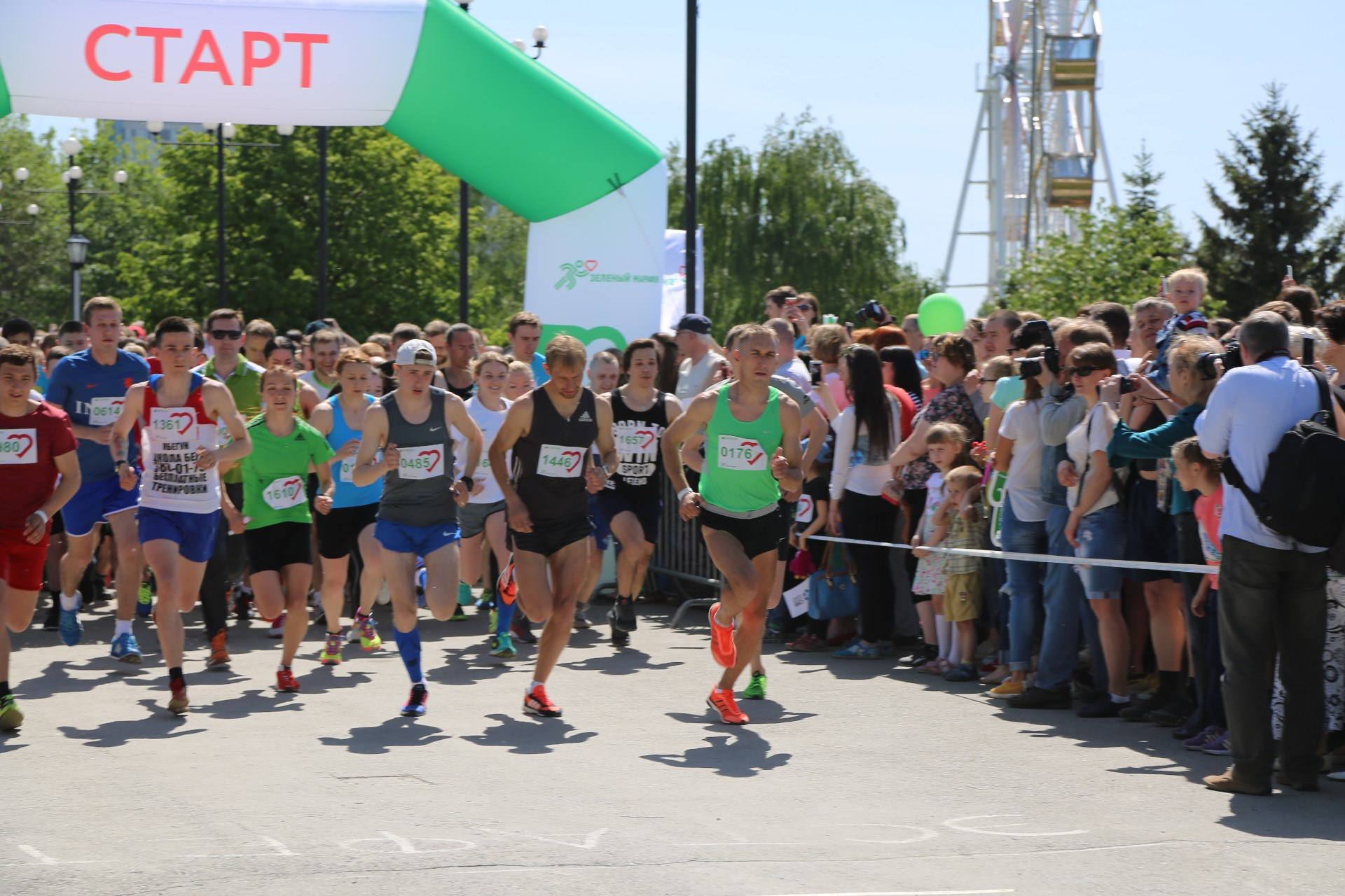 Greenmarathon. Забег Сбербанк. Зелёный забег Геншин. Зеленый марафон бегущие сердца. Забеги Нижнего фото.