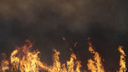 Площадь пожара в Кумженской роще достигла 5,5 гектара