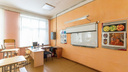 «Свирепствует пневмония»: в Челябинске вторая за неделю школа ушла на досрочные каникулы из-за ОРВИ