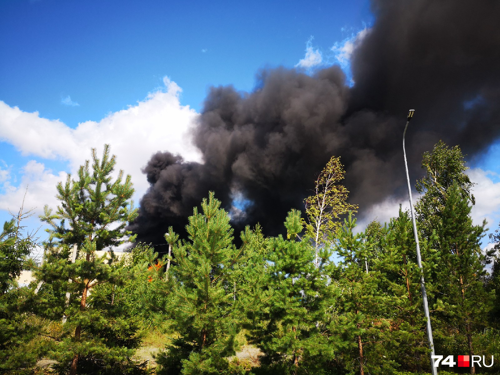 Чёрный дым над лесным массивом виден за несколько километров от места происшествия