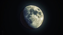 «Активизируются тёмные силы»: сегодня в Ярославле можно увидеть лунное затмение
