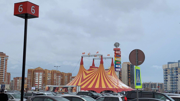 На парковке «Планеты» разместился купол цирка с собачками, леопардами и гимнастами