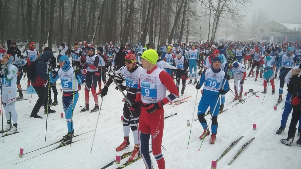 Все на лыжню! В Самаре на марафоне «Сокольи горы» собрались участники из 48 регионов России