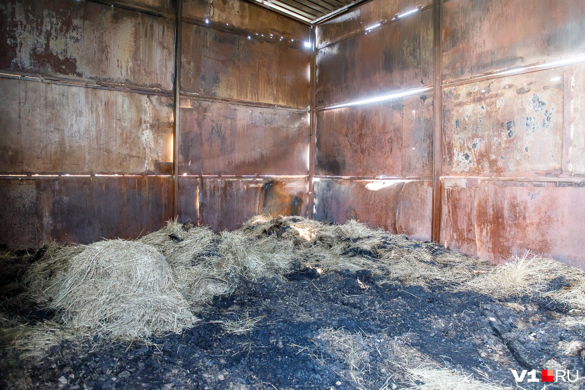 Горы строительного мусора и сгоревшее сено — все, что осталось от конюшни