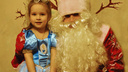 В Ярославле Дед Мороз будет бесплатно поздравлять детей