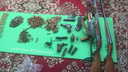 Запасся даже гранатой: в Батайске обнаружили оружейный схрон в частном доме