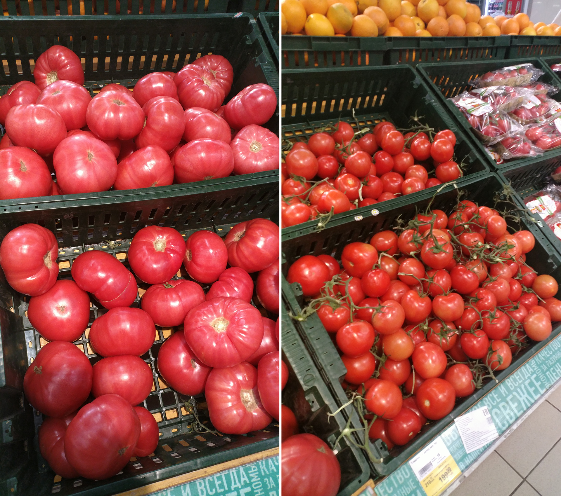 Эти томаты хоть и выглядят блестящими и сочными, на самом деле очень жесткие — как пластик