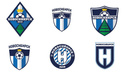 ФК «Новосибирск» предложил болельщикам выбрать логотип